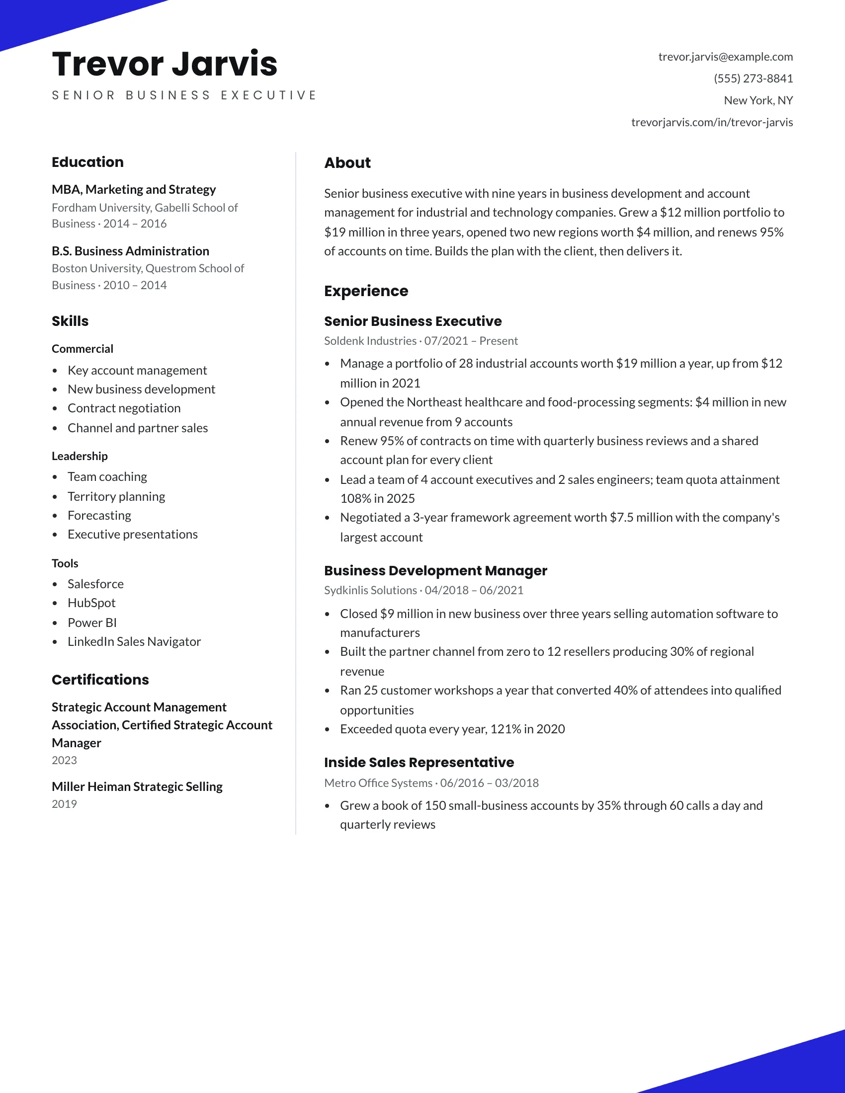 Business Executive · Wedge resume template preview