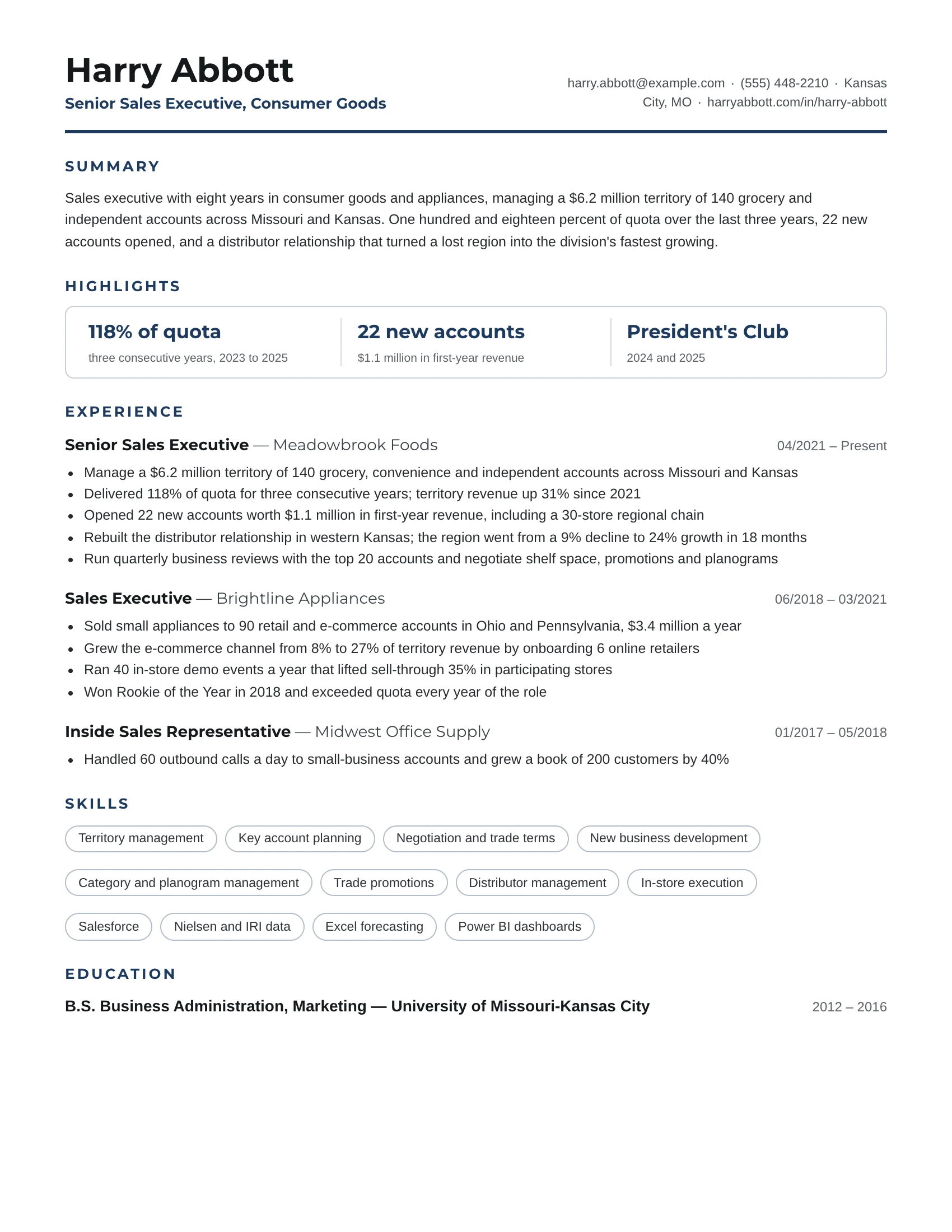 Sales executive resume example — sample document