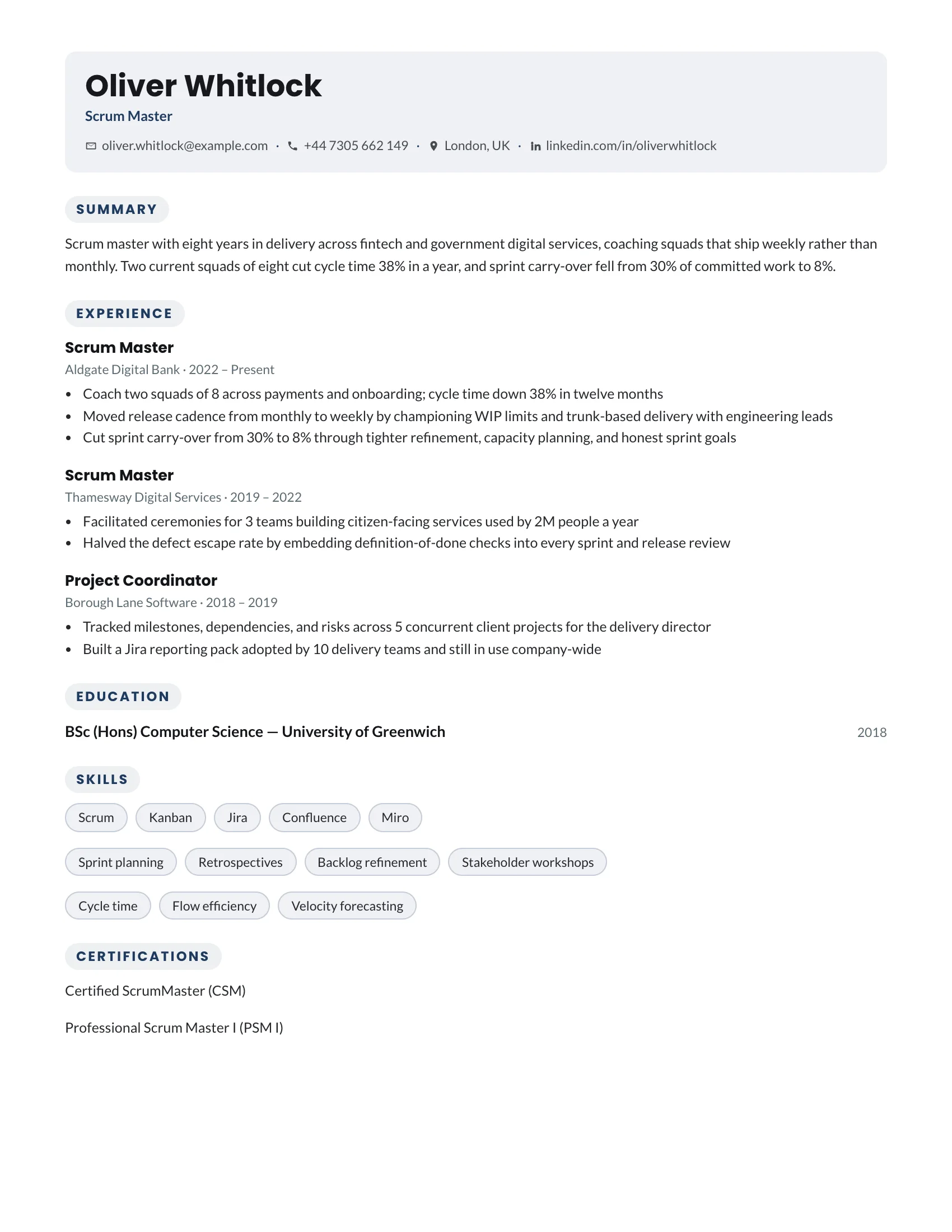 Scrum Master · Bubbles resume template preview