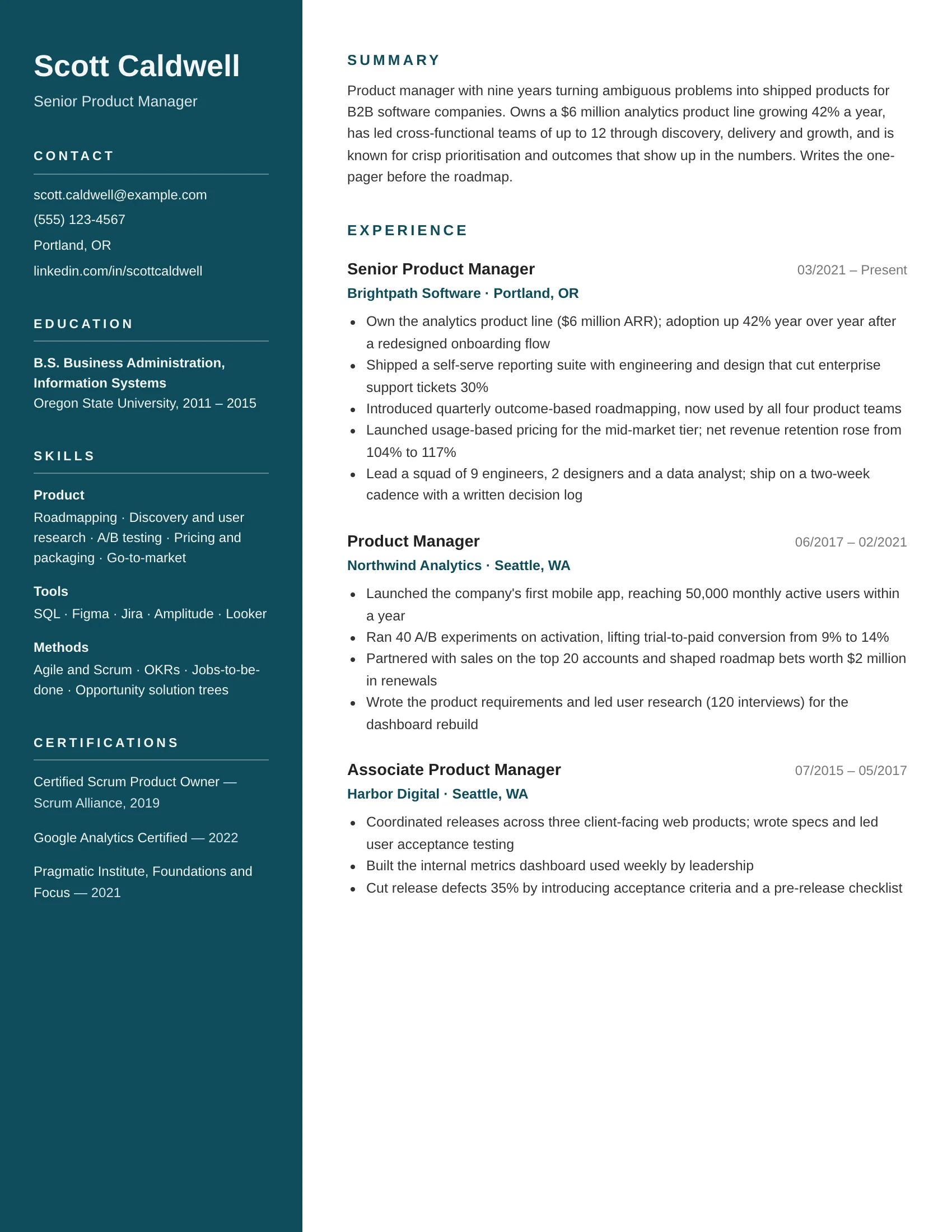 Project manager resume example — sample document
