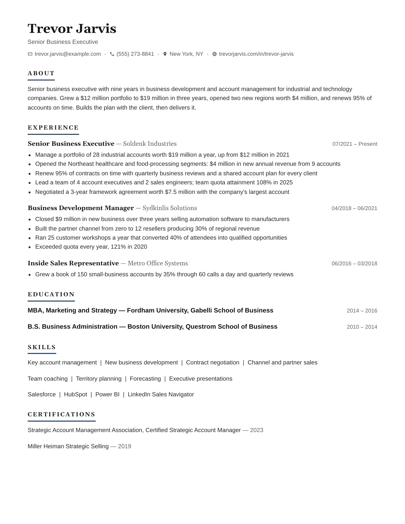 Standard · True (Navy) resume template preview